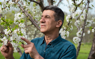 Cuidados essenciais para preparar seus ouvidos na chegada da primavera